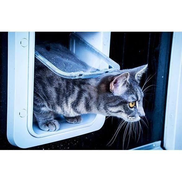 Trixie Carruzzo SureFlap SUR101 šuns arba katės durelės