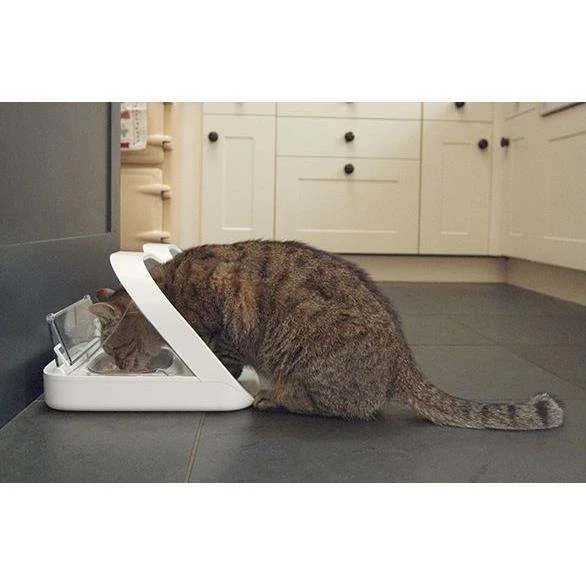 Trixie Carruzzo SureFlap MPF001 šuns arba katės ėdalo arba vandens tiektuvas Plastikas Balta Šuo Automatinė naminių gyvūnų šėrykla