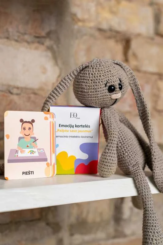 EQhub Emocijų kortelės "Pažįstu savo jausmus"