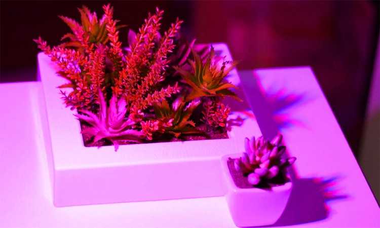 Gardlov 200 LED lempa augalų augimui