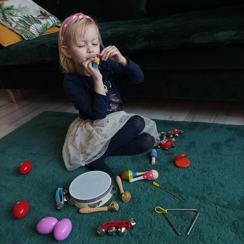 Kruzzel Muzikos instrumentų rinkinys