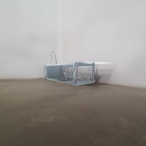 Repest 19051 live trap/rodent trap