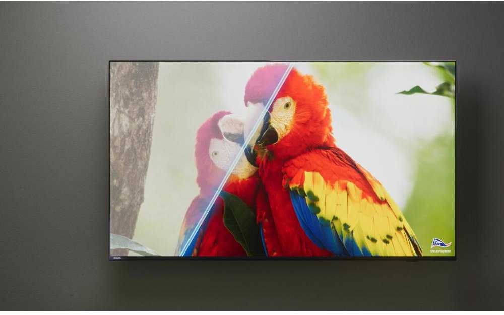 Philips Išmanusis televizorius LED HD TV, 24 colių (24PHS6808/12)
