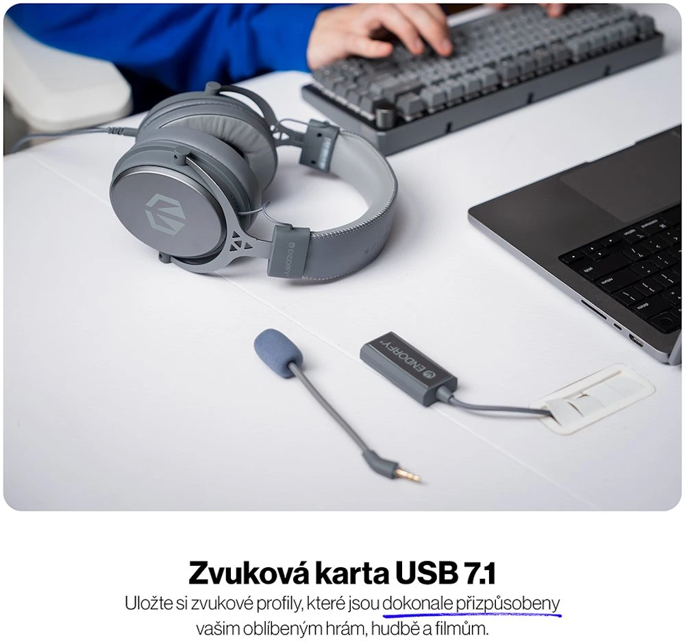 Ausinės ENDORFY VIRO Plus USB Alt pilka