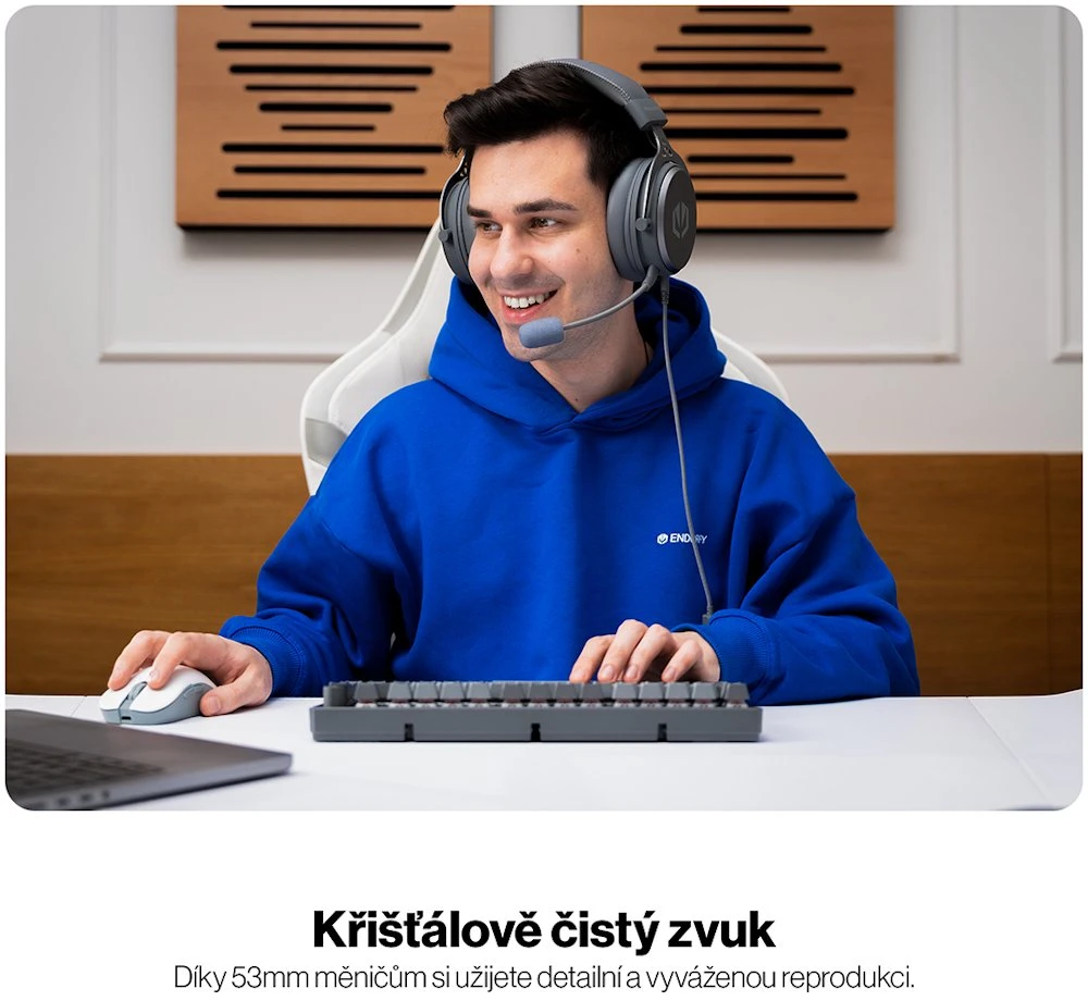 Ausinės ENDORFY VIRO Plus USB Alt pilka