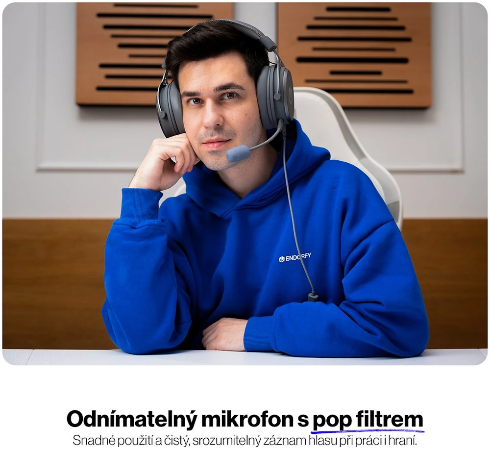 Ausinės ENDORFY VIRO Plus USB Alt pilka