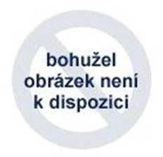 BASEUS belaidės bluetooth ausinės TWS ENC IPX4 Bowie E18 baltas