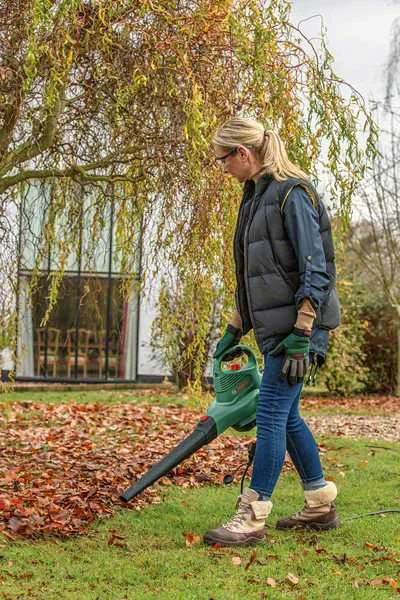 Bosch lapų pūstuvas siurblys Universal GardenTidy 2300