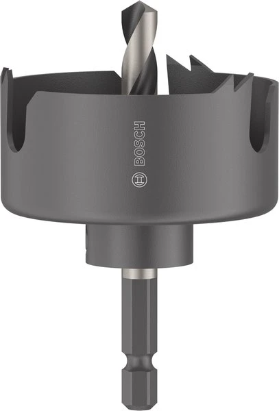 Bosch skylių pjūklas 54mm, su stiebu