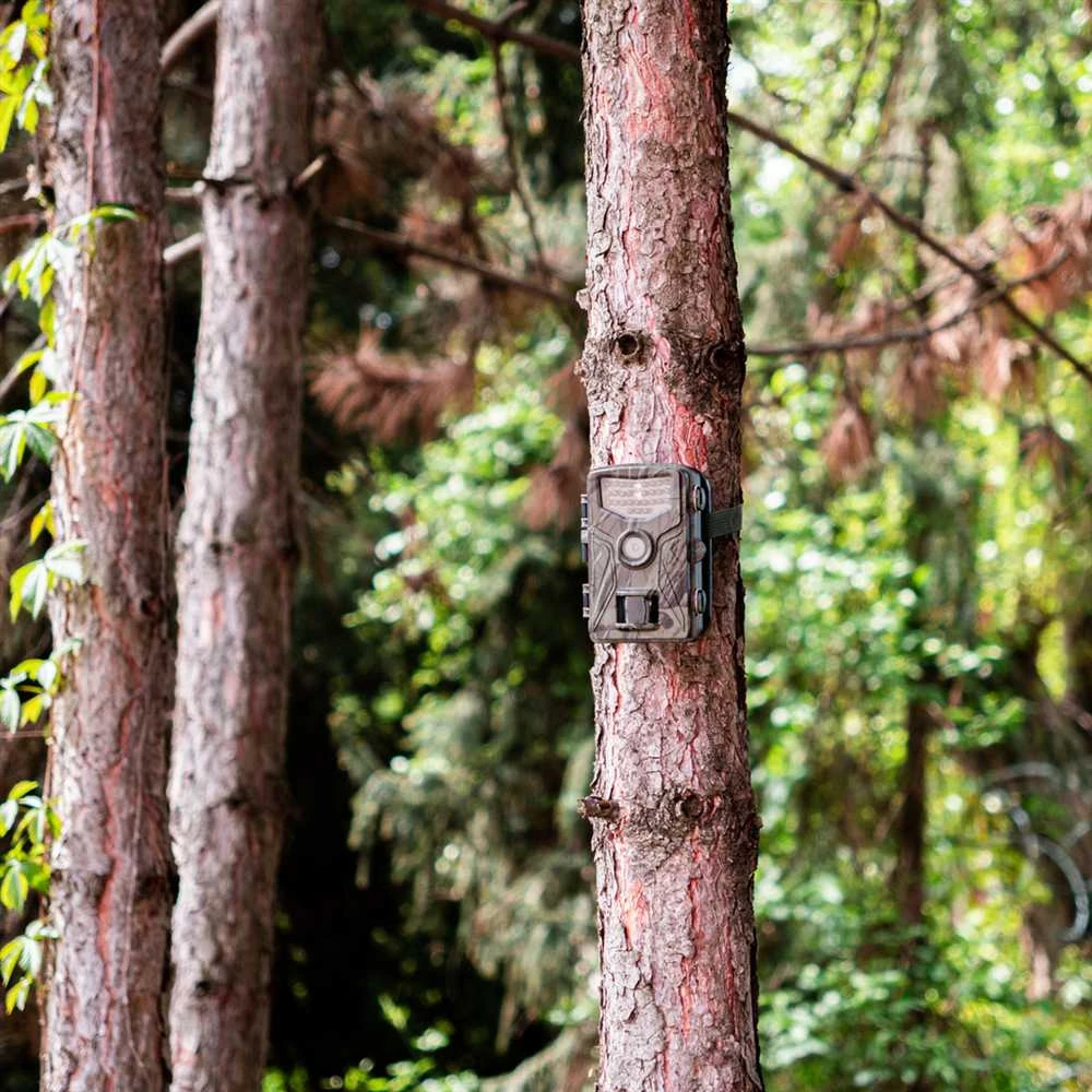 Braun Scouting Cam Juodas 575 Trail Camera