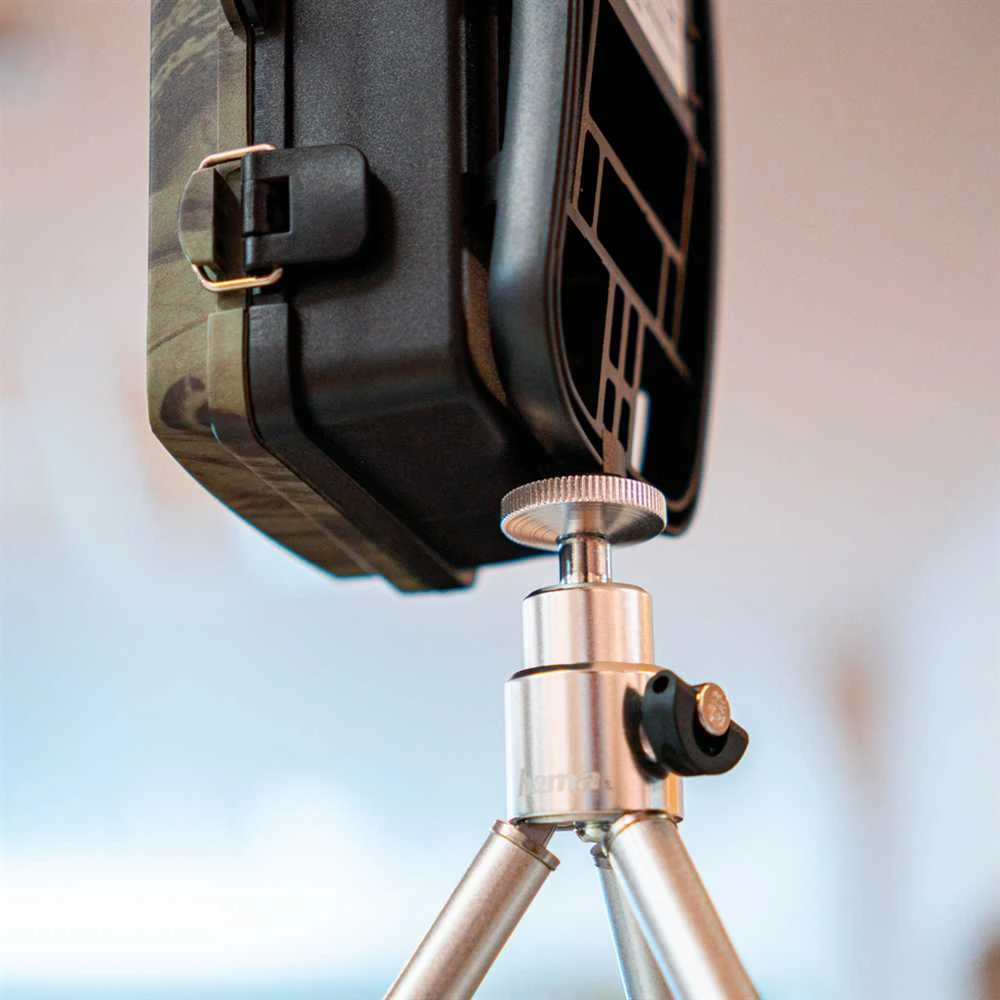 Braun Scouting Cam Juodas 575 Trail Camera