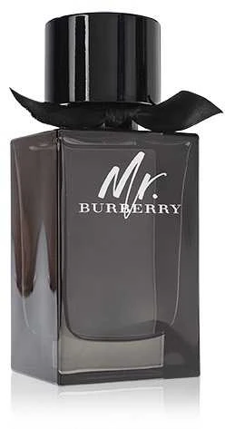 Burberry Mr. Burberry EDP parfumuotas vanduo vyrams, 100 ml