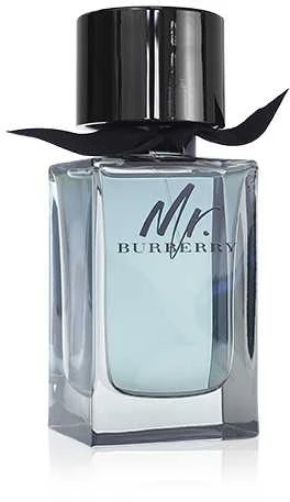Burberry Mr. Burberry EDT tualetinis vanduo vyrams, 100 ml