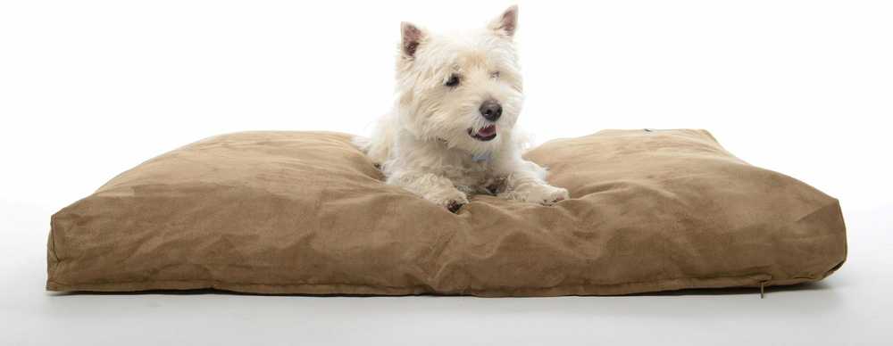 Buster Calibra KRUUSE Memory Foam dog bed 120x100cm camel