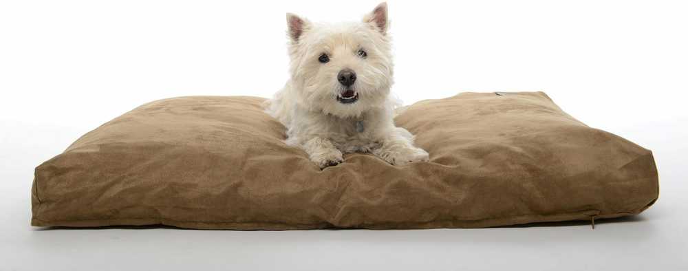Buster Calibra KRUUSE Memory Foam dog bed 120x100cm camel