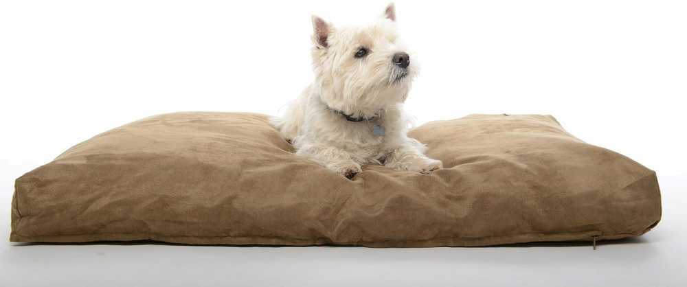 Buster Calibra KRUUSE Memory Foam dog bed 120x100cm camel
