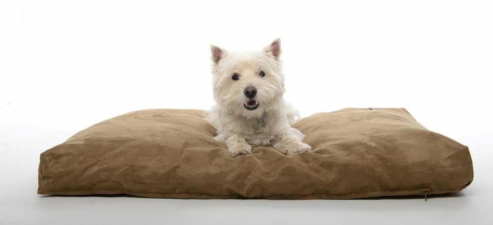 Buster Calibra KRUUSE Memory Foam dog bed 120x100cm camel