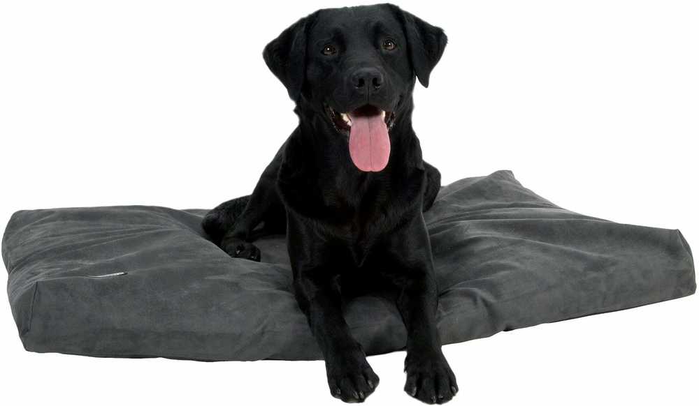 Buster Calibra KRUUSE Memory Foam dog bed 120x100cm pilkas