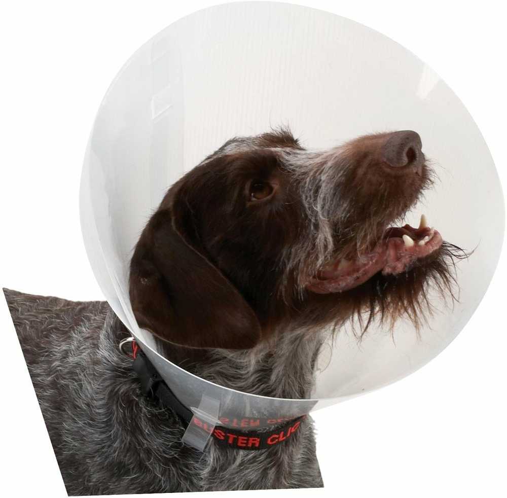 KRUUSE BUSTER Classic Dog Collar, 10 cm, Transparent, 10 pcs