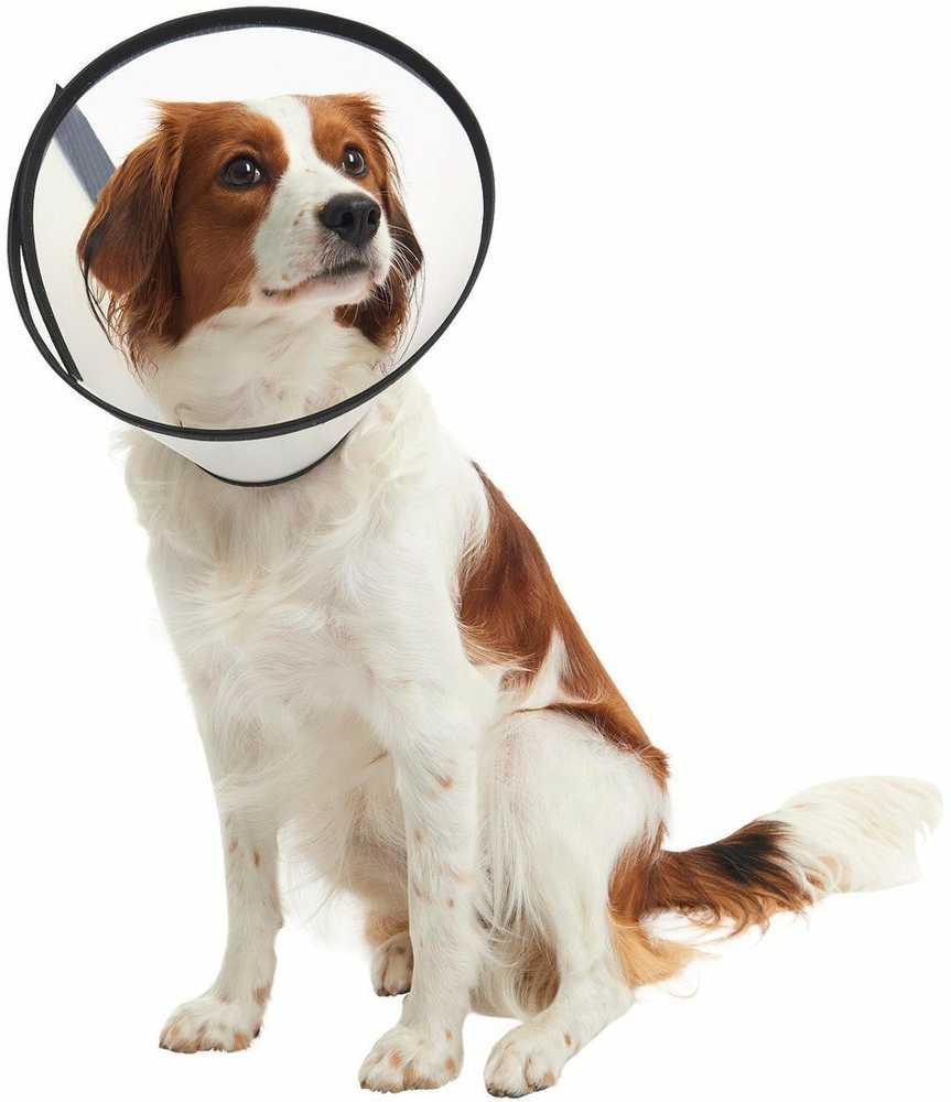 KRUUSE BUSTER Quick Collar, 30 cm, 5 pcs.
