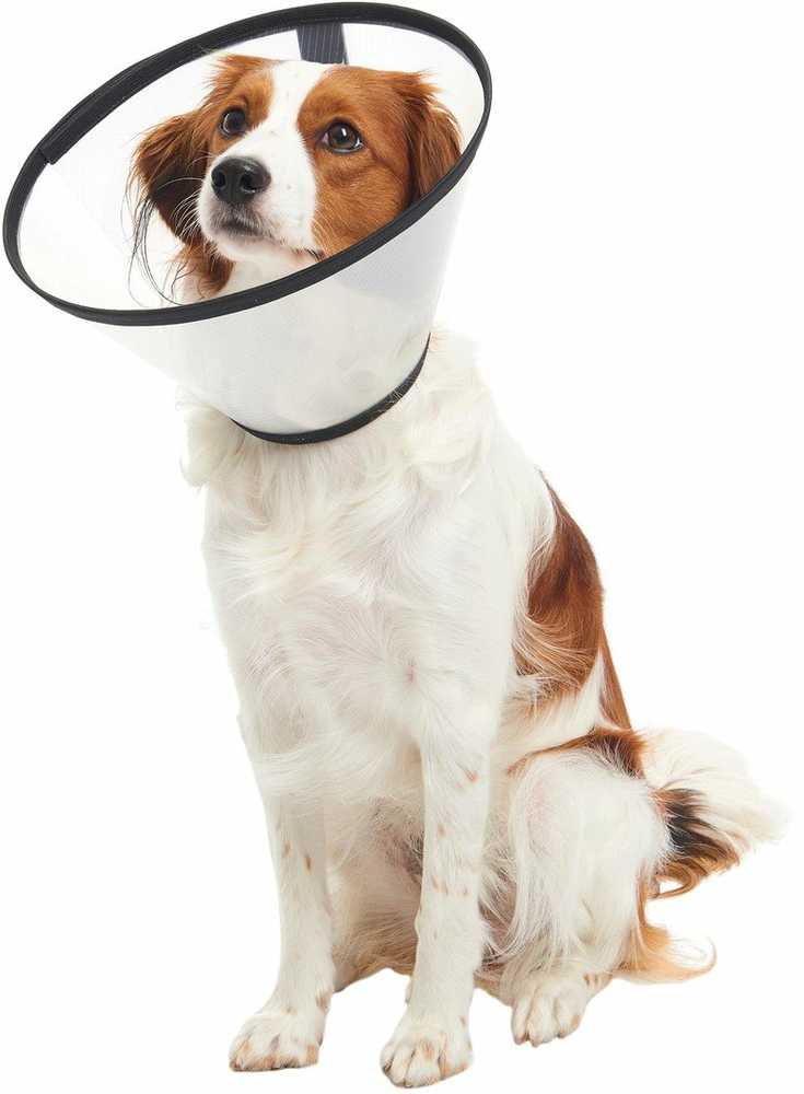KRUUSE BUSTER Quick Collar, 30 cm, 5 pcs.