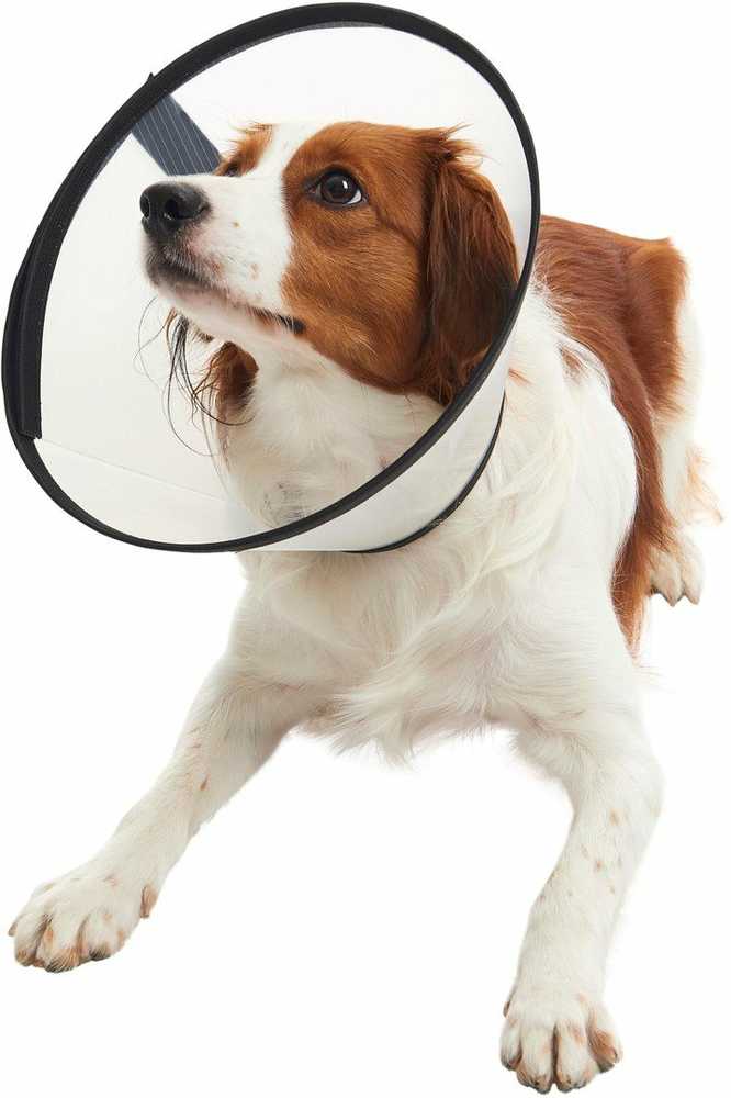 KRUUSE BUSTER Quick Collar, 30 cm, 5 pcs.