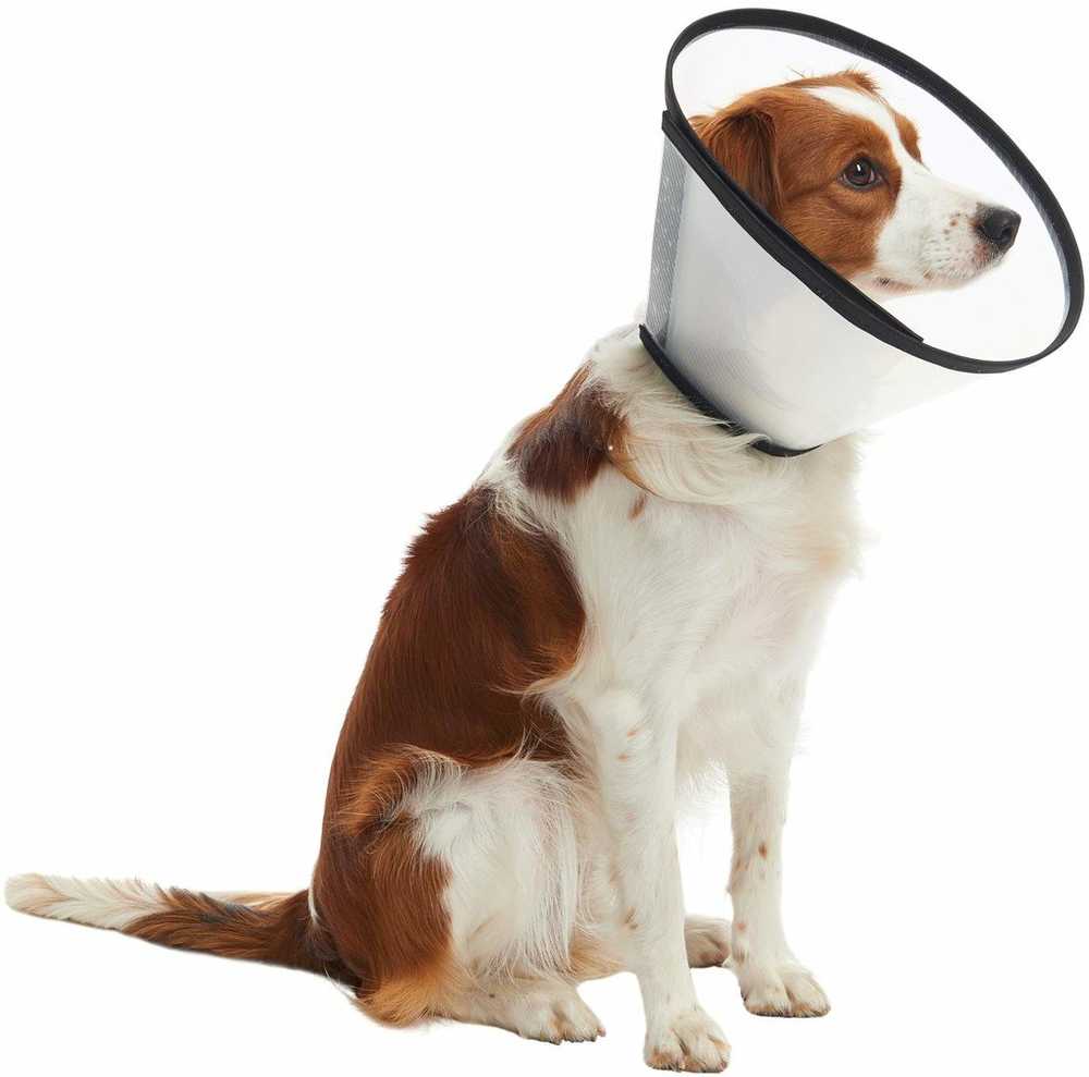 KRUUSE BUSTER Quick Collar, 30 cm, 5 pcs.