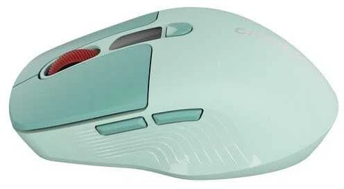 CANYON pelė MW-26 LCD tyli dvigubo režimo belaidė žalia