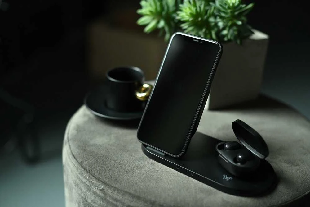 CANYON belaidis įkroviklis WS-202 10W 2in1 Juodas