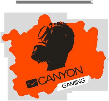 Belaidis Žaidimų valdiklis skirtas PS4 Canyon GP-W5 GamePad