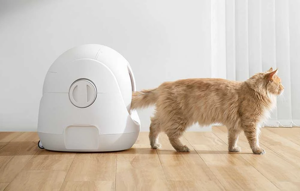 Išmani savaime išsivalanti kačių kraiko dėžė Catlink BayMax Version