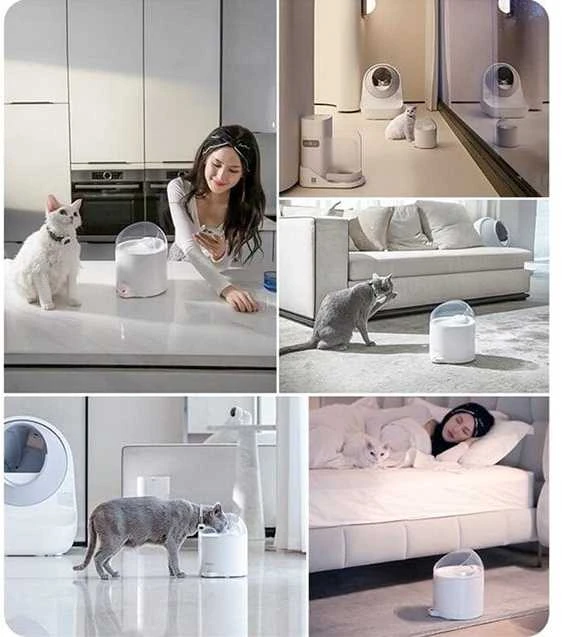 Vandens fontanas augintiniams Catlink Pure 2