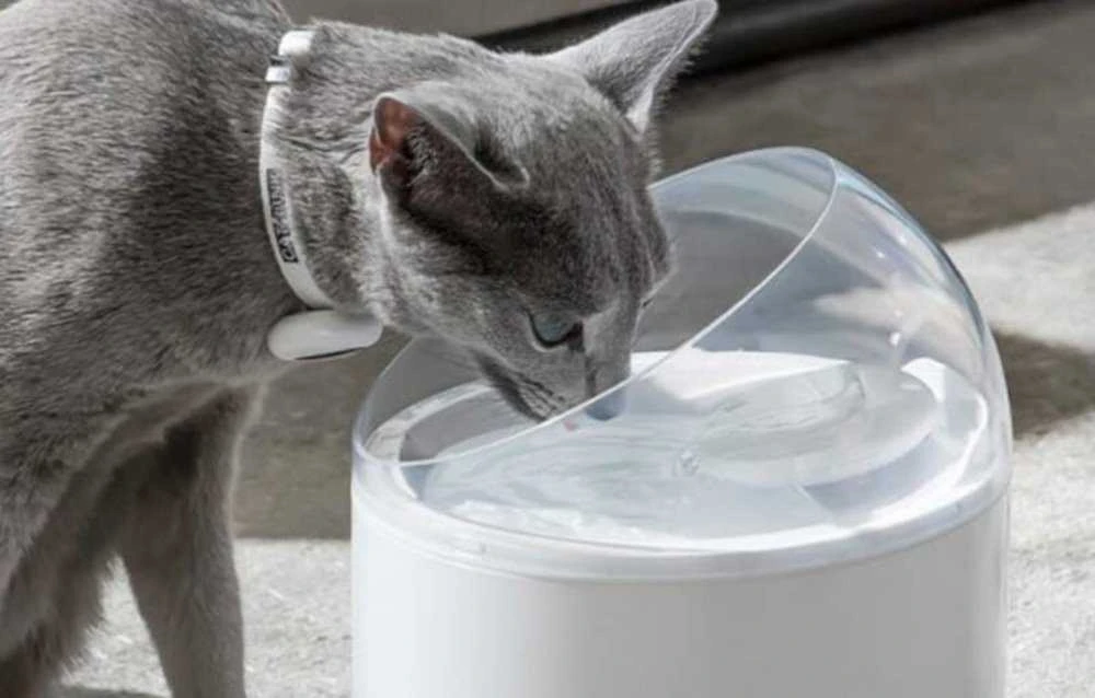 Vandens fontanas augintiniams Catlink Pure 2