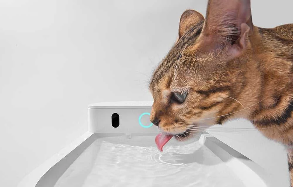 Vandens fontanas augintiniams Catlink Pure 3