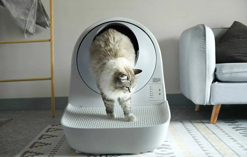 Laiptai Catlink Scooper kraiko dėžėms (pilki)