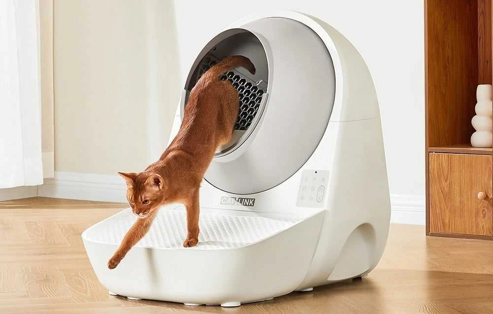 Catlink Scooper Pro Ultra naudojimas su katinu