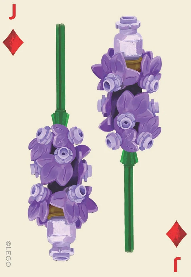 Dėlionė LEGO Botanicals žaidimo kortos 8J2202