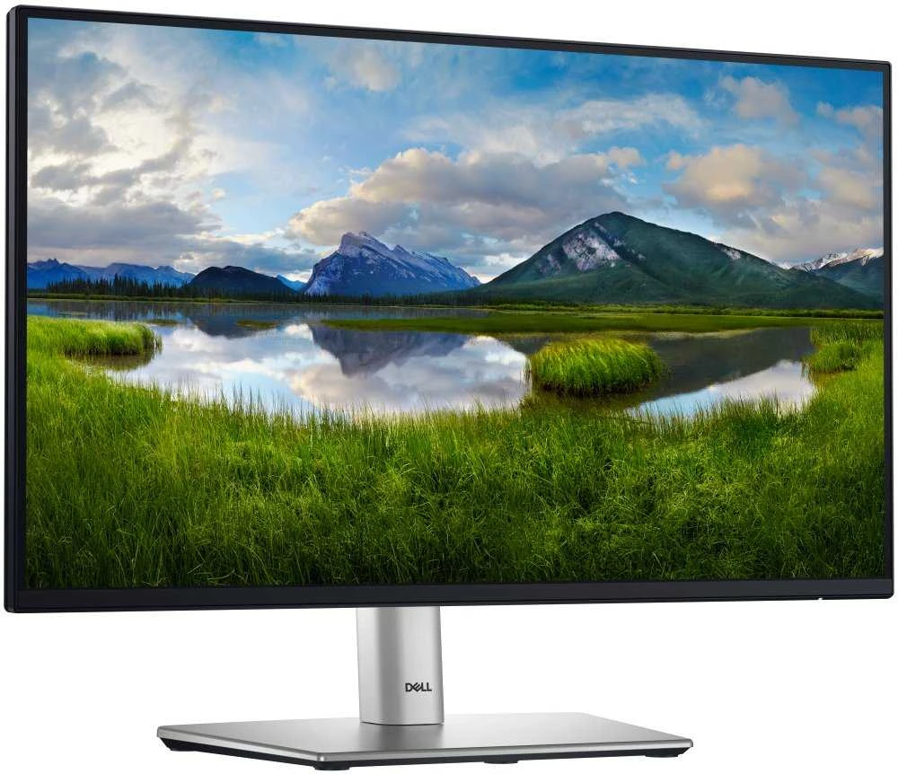 Dell 22 Monitorius - P2225H, 54.6cm (21.5")