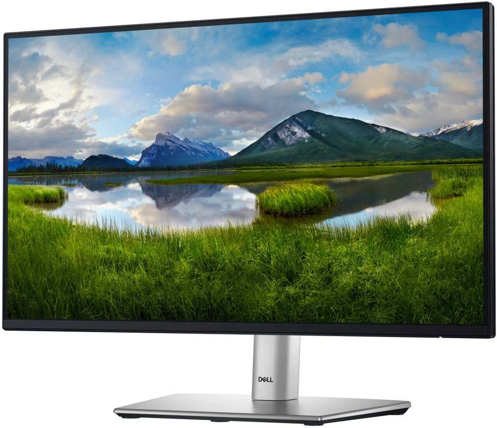 Dell 22 Monitorius - P2225H, 54.6cm (21.5")
