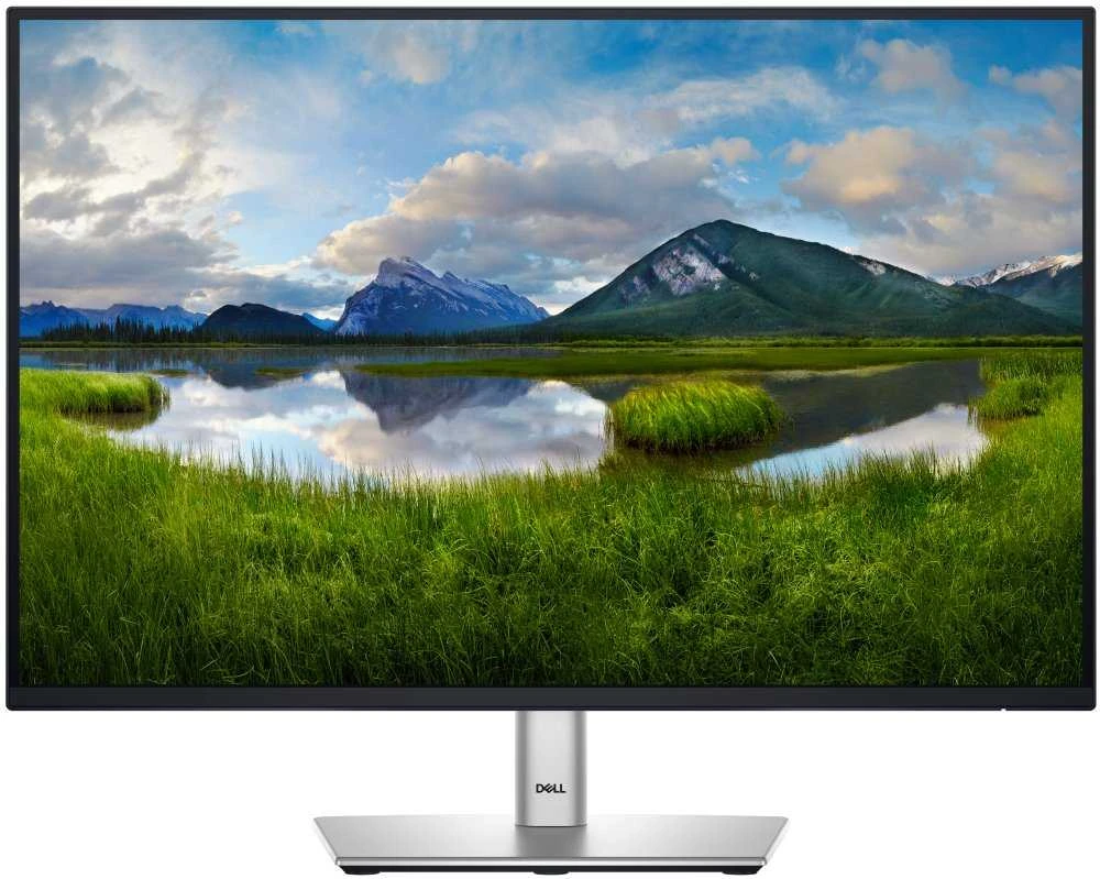Dell 24 Monitorius - P2425, 61cm (24.0") (Pažeista pakuotė)