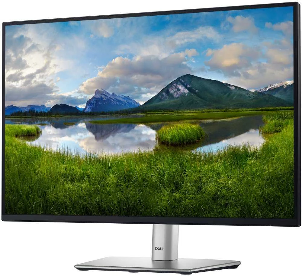 Dell 24 Monitorius - P2425, 61cm (24.0") (Pažeista pakuotė)