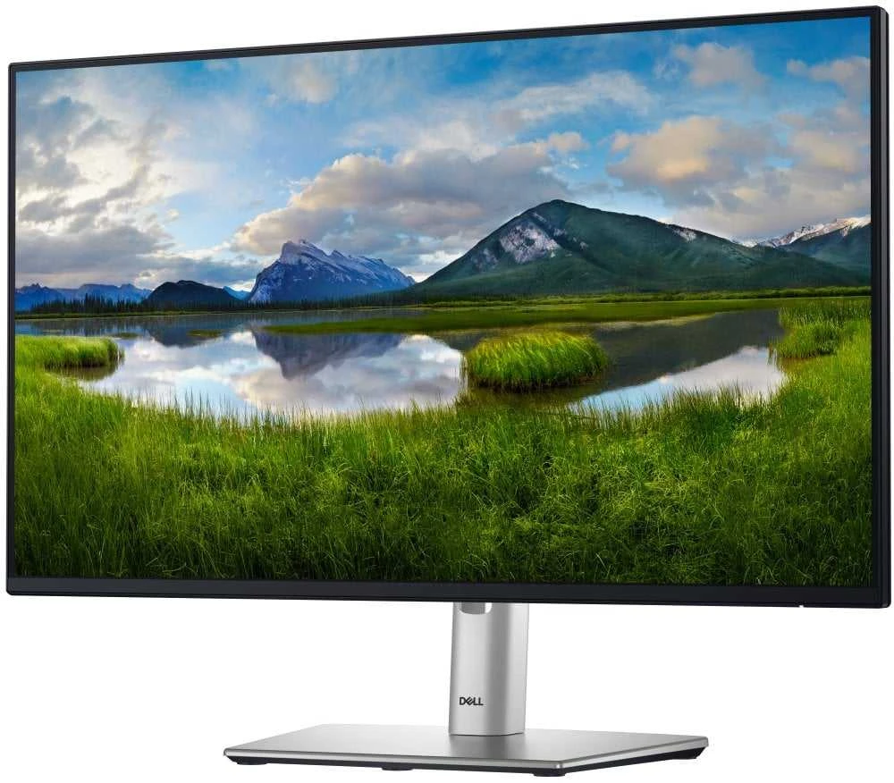 Monitorius Dell 24 P2425H, 60.5cm (23.8") / IPS /FHD(1920 x 1080 )/16:9 / 100 Hz /250 cd/m² /Height, Tilt, Swivel, Pivot /Garantija 36 mėn