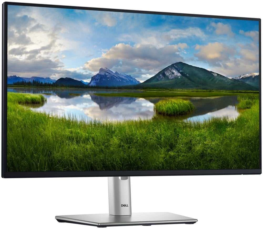 Monitorius Dell 24 P2425H, 60.5cm (23.8") / IPS /FHD(1920 x 1080 )/16:9 / 100 Hz /250 cd/m² /Height, Tilt, Swivel, Pivot /Garantija 36 mėn