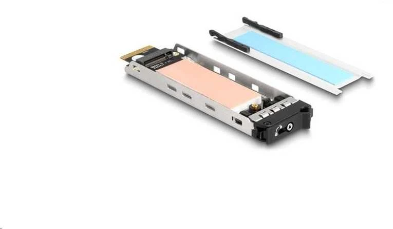 Delock mobiliojo stovo įdėklas 1 x M.2 NMVe SSD, skirtas 47028