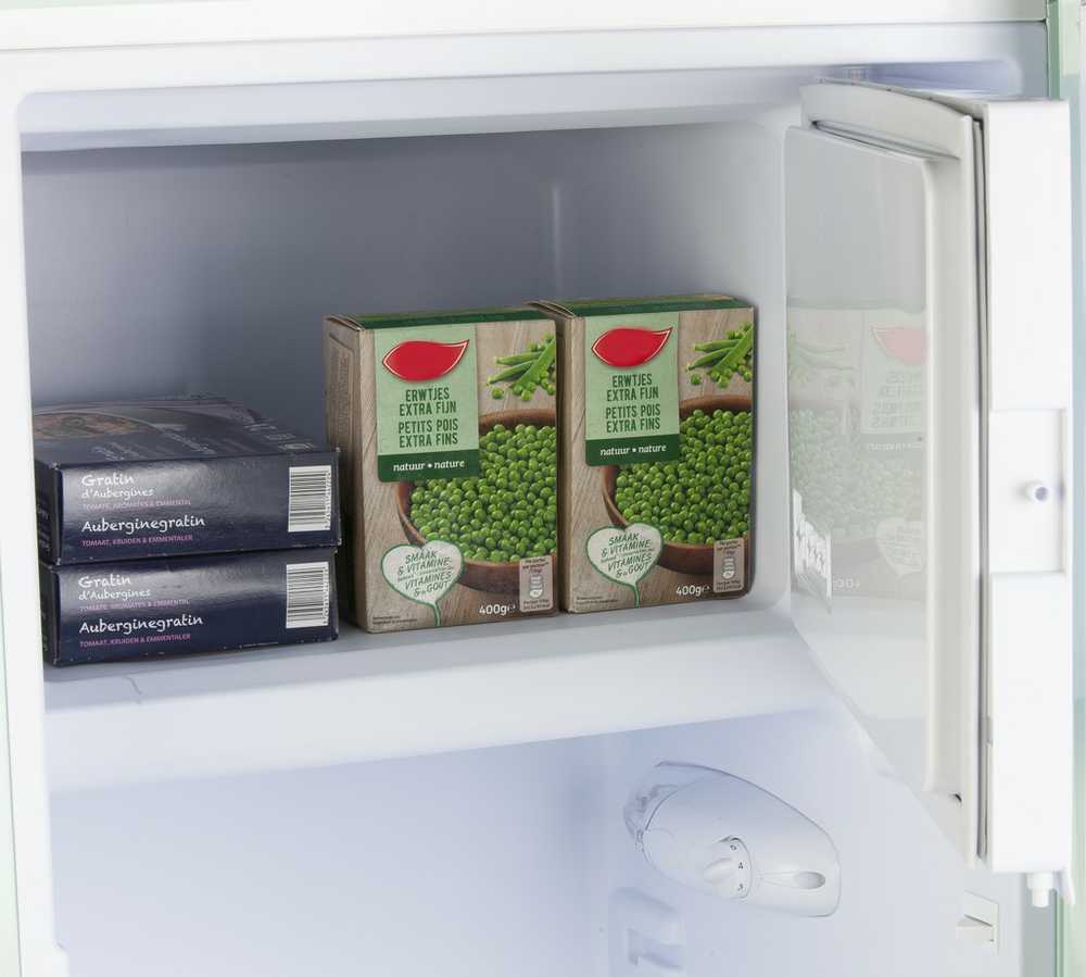Šaldytuvas DOMO DO91701R Retro fridge-šaldiklis 191/24 l, pistachio