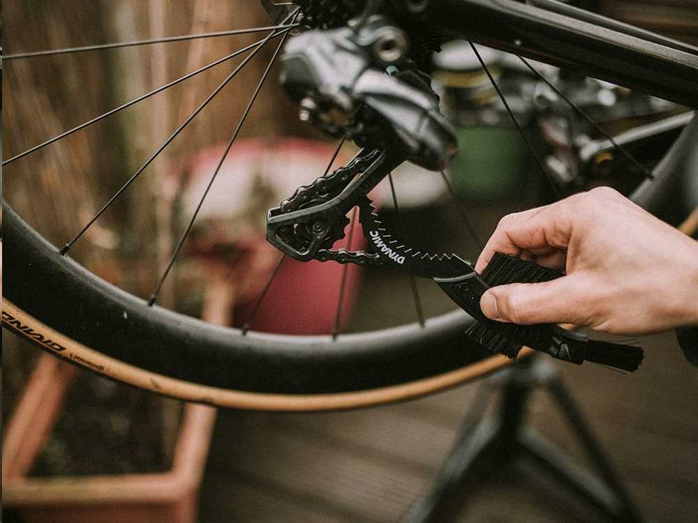 Dynamic Bike Care Šepetys Claw Dynamic