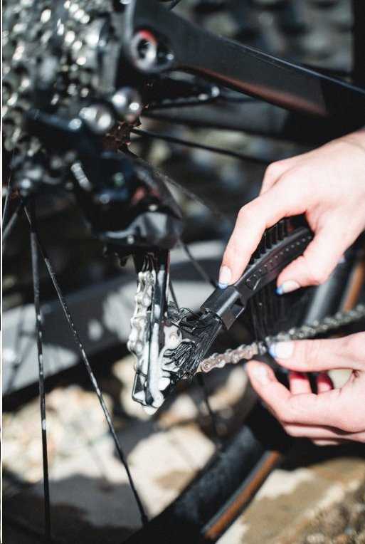Dynamic Bike Care Šepetys Claw Dynamic