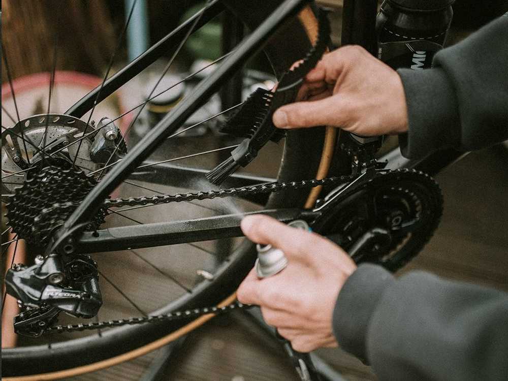 Dynamic Bike Care Šepetys Claw Dynamic