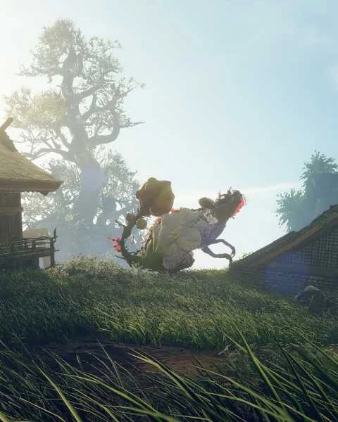EA Laukinių širdžių XBOX serija X