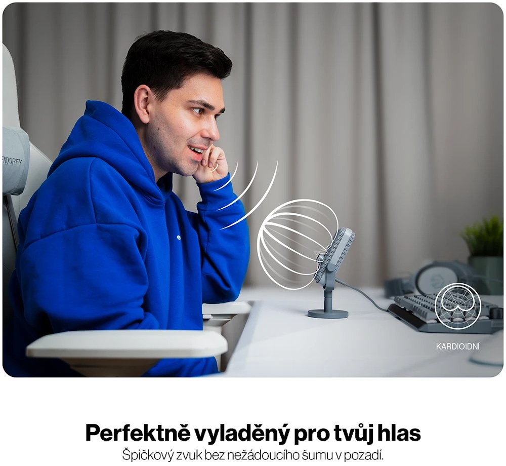 ENDORFY Solum Voice S Alt pilka